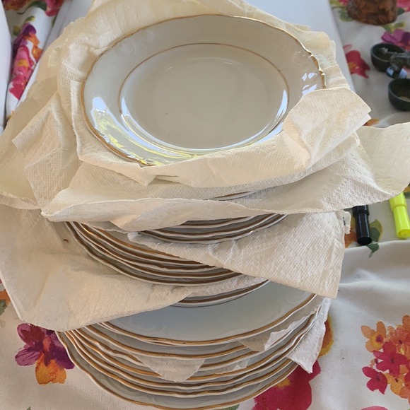 Royal Kents Poland China plates - Picture 2 of 6